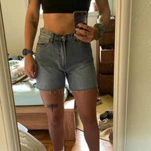 John Galt High Waisted Denim Cutoff Shorts